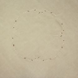 ARGIVAI-DOMUS-TOALHA-DETALHE-RED-3